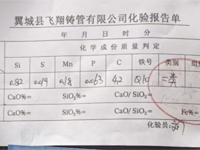 飞翔Z10（Q10二类、Z10）图5